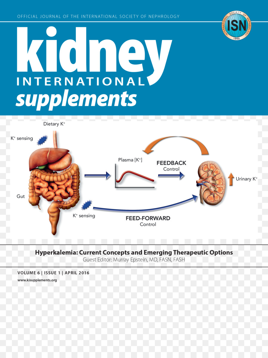 Suplemen Makanan，Ginjal Internasional PNG