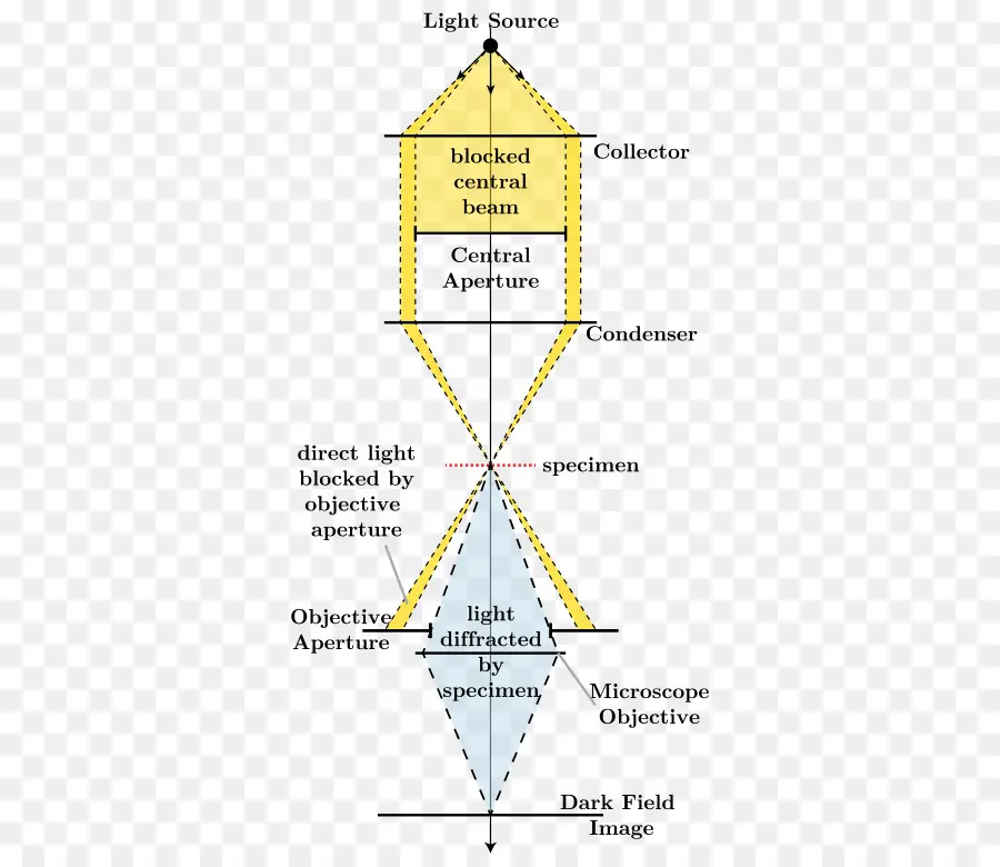 Diagram Mikroskop，Sumber Cahaya PNG