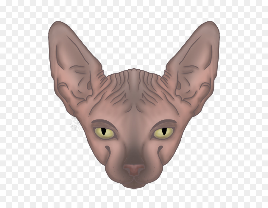 Kucing Sphynx，Donskoy PNG