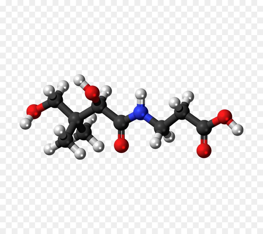 Asam Pantotenat，Vitamin PNG