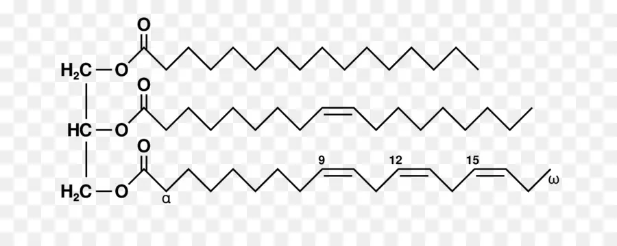 Molekul，Lemak PNG