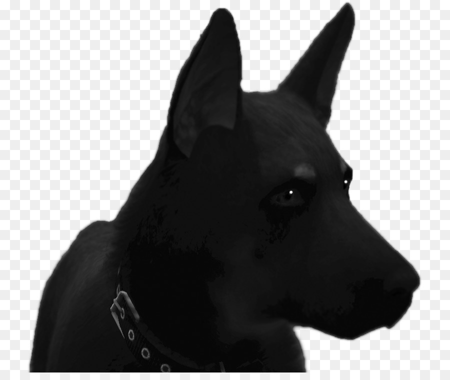 Anjing Berkembang Biak，Schipperke PNG