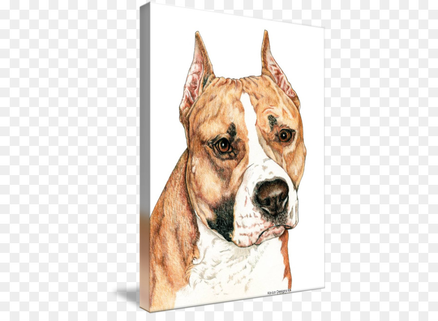 American Staffordshire Terrier，American Pit Bull Terrier PNG