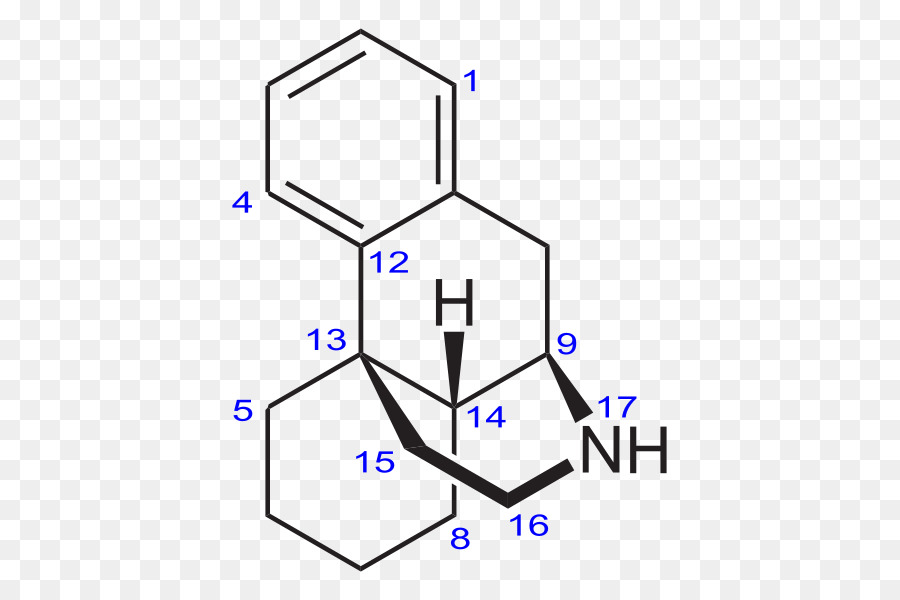 Morphinan，Opioid PNG