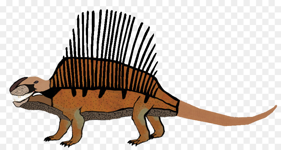 Dimetrodon，Euparkeria PNG