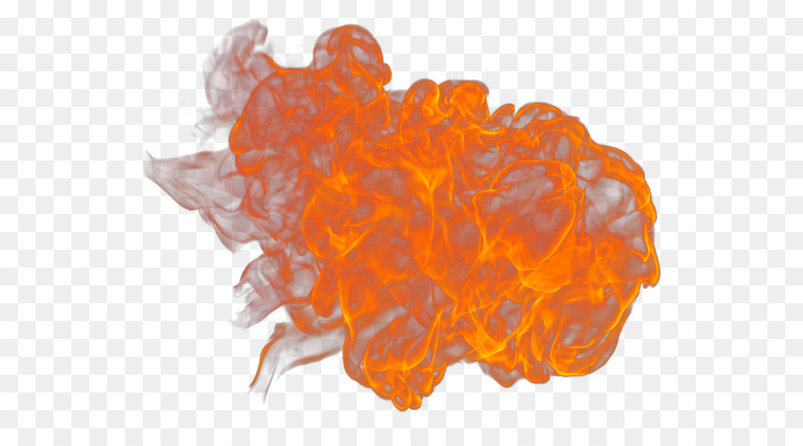 Organisme，Orange PNG