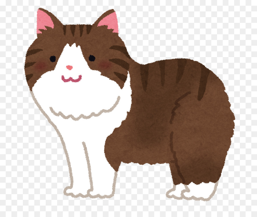 Kucing Lucu，Kartun PNG