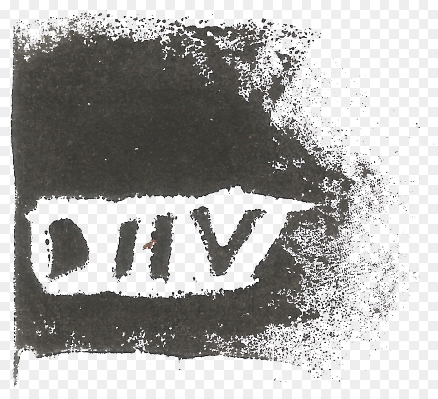 Tshirt，Diiv PNG