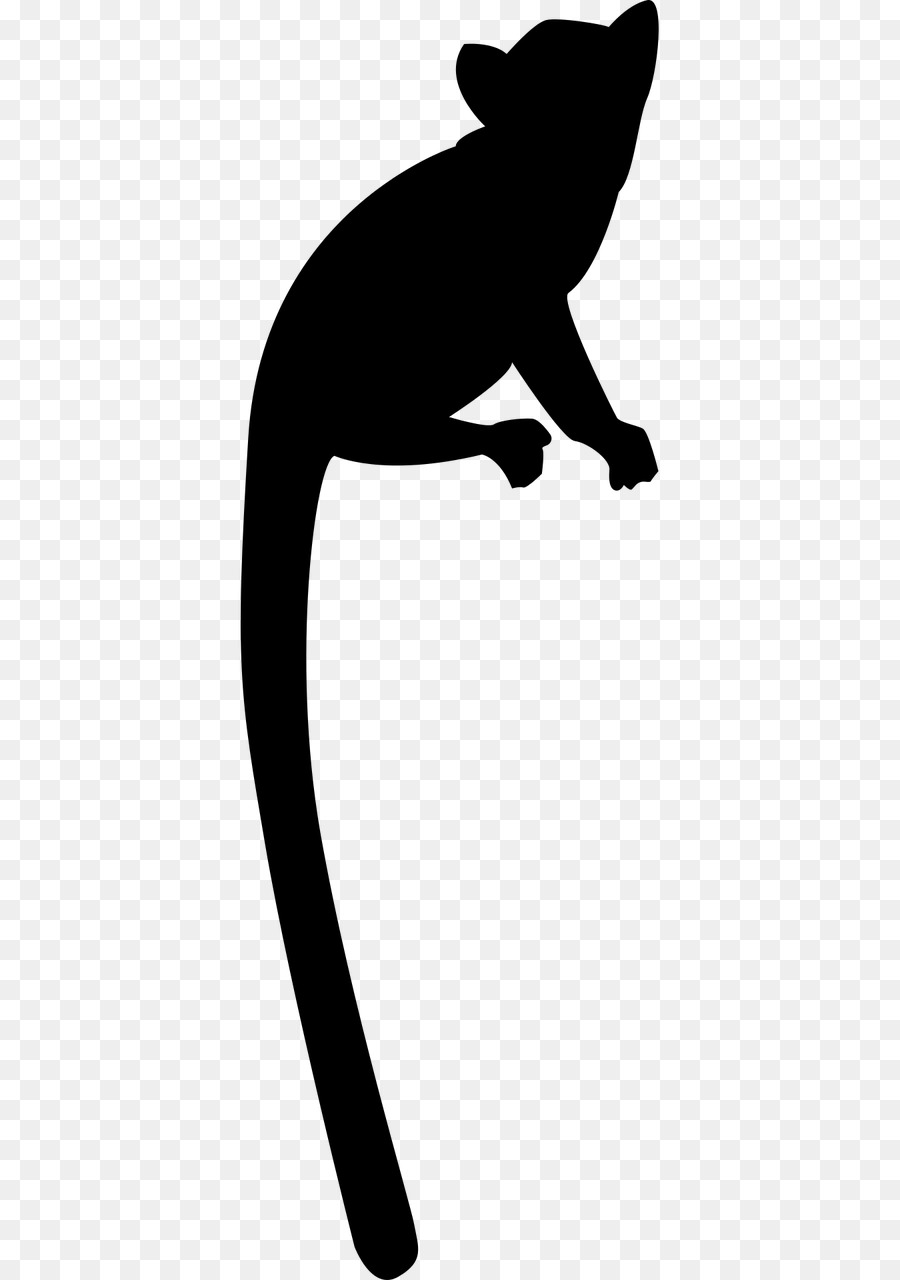 Siluet Lemur，Hitam PNG