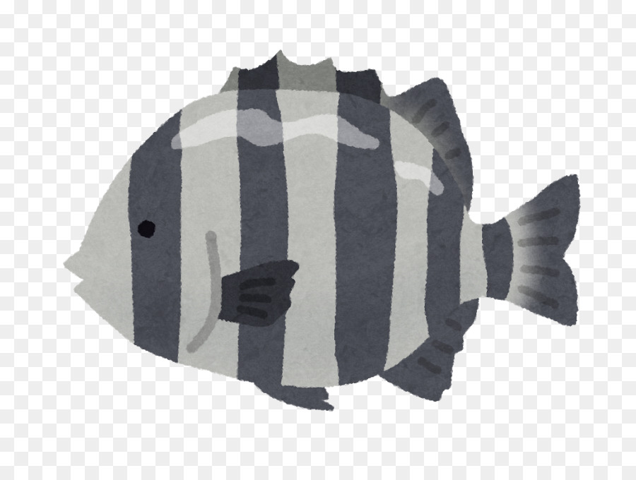 Ikan Kartun，Ikan PNG