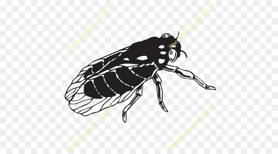 Kumbang，Benar Bug PNG