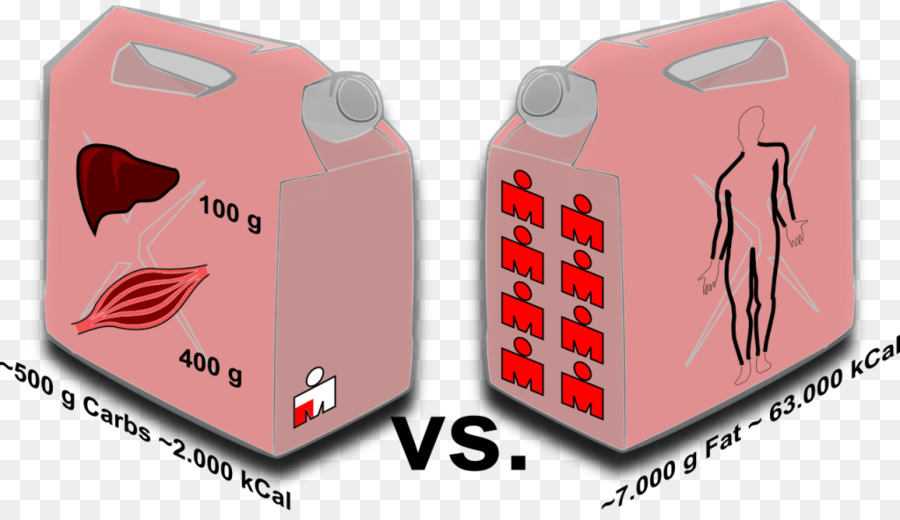 Ketosis，Diet Ketogenik PNG