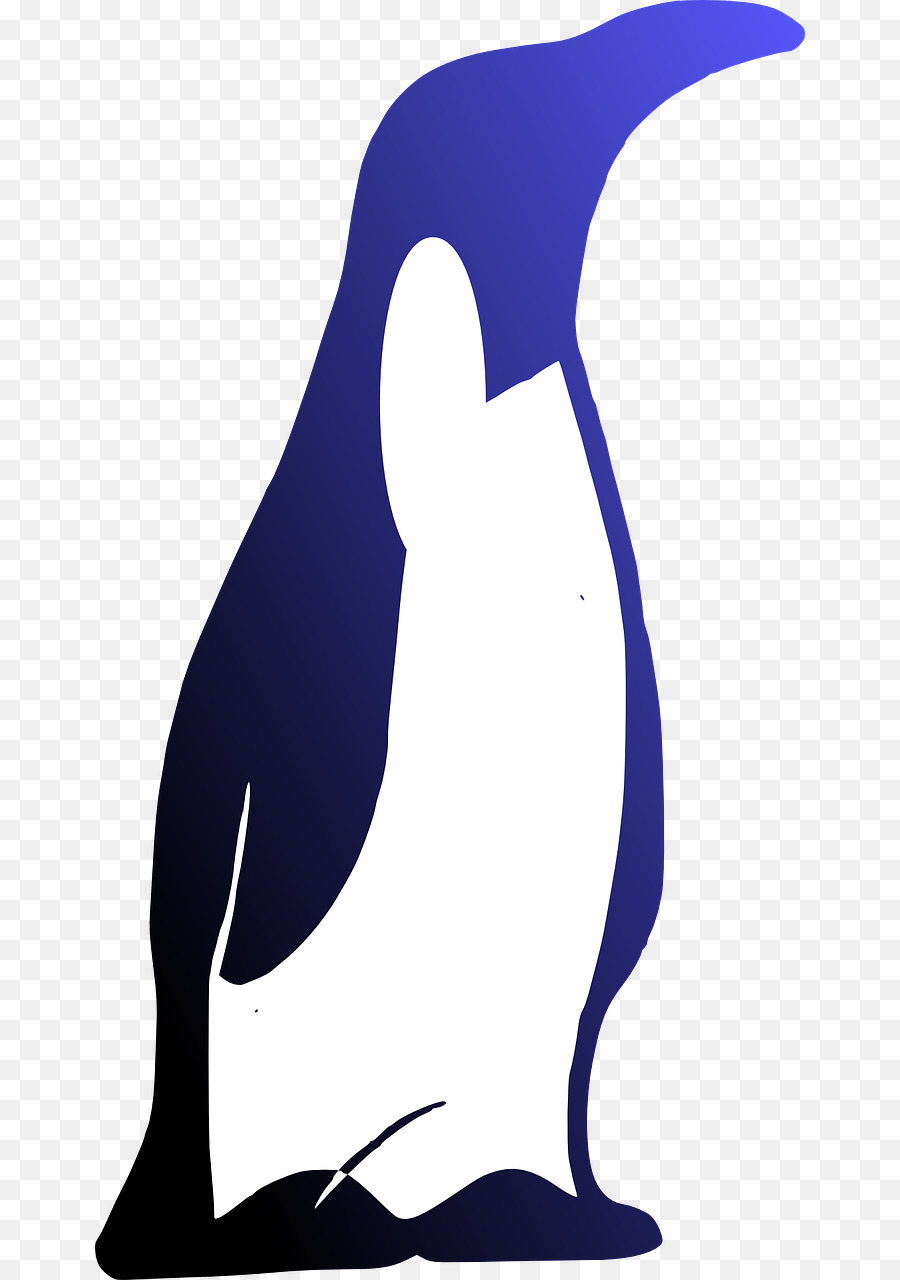 Penguin，Burung PNG