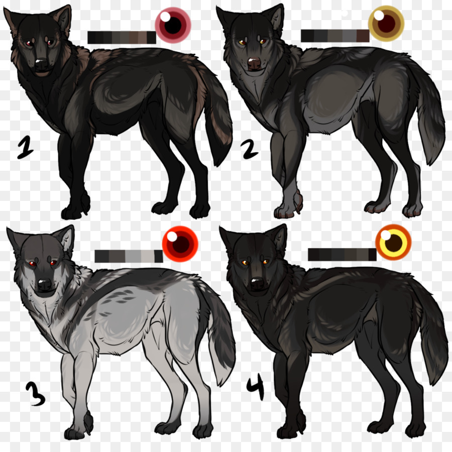 Anjing Berkembang Biak，Schipperke PNG