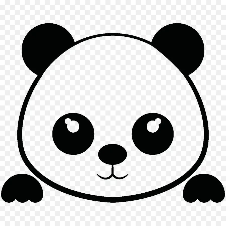 Wajah Panda，Beruang PNG