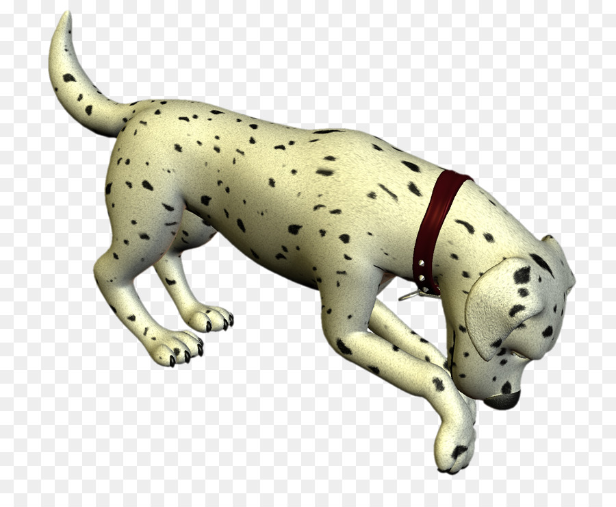 Anjing Dalmatian，Anjing PNG