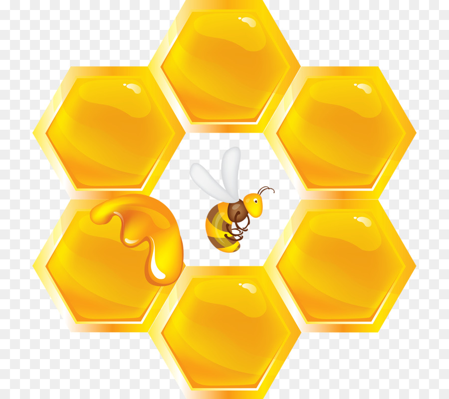  Lebah  Madu Lebah  Sarang Lebah  gambar png