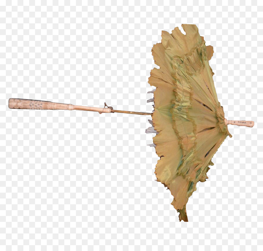 Daun，Ranting PNG