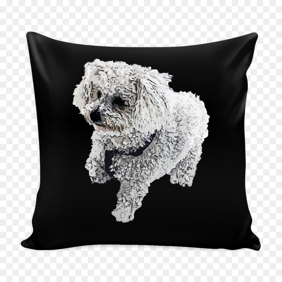 Bantal，Bichon Frisé PNG