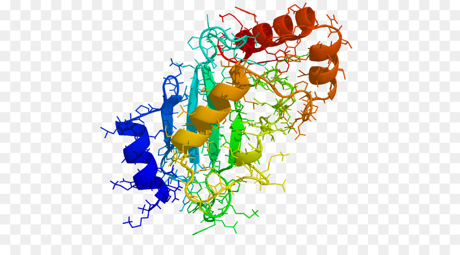 Struktur Protein，Molekul PNG