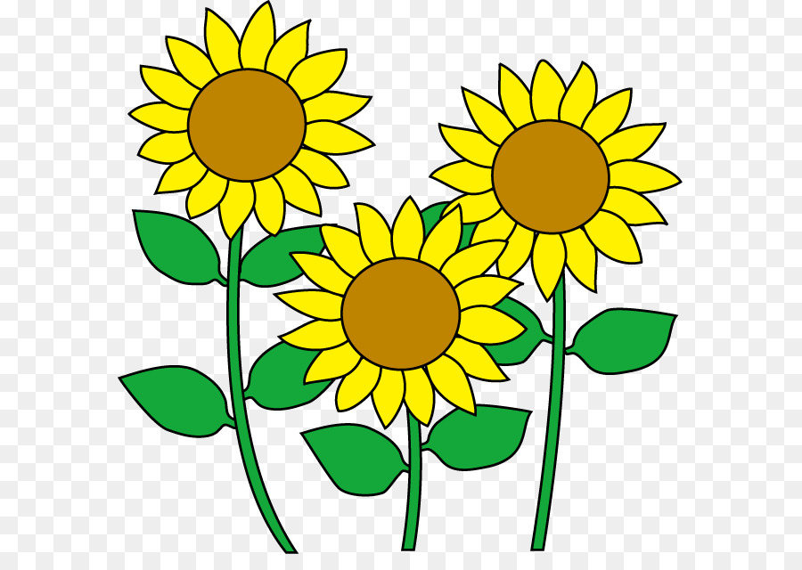 kisspng common sunflower cartoon clip art sunflower bouquet 5b202a1a81dc01.5767981315288345865319