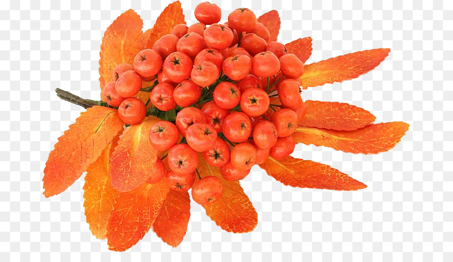 Berry，Mountainash PNG