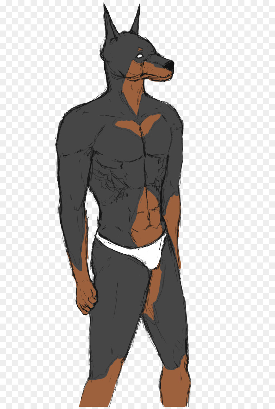 Tshirt，Dobermann PNG