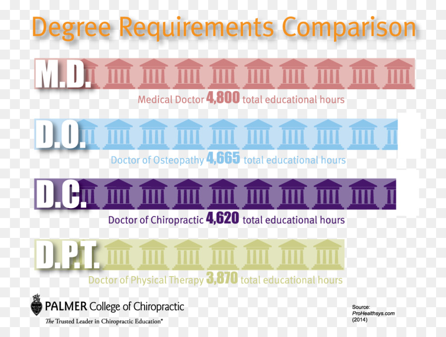 Palmer College Of Chiropractic，Chiropractic PNG