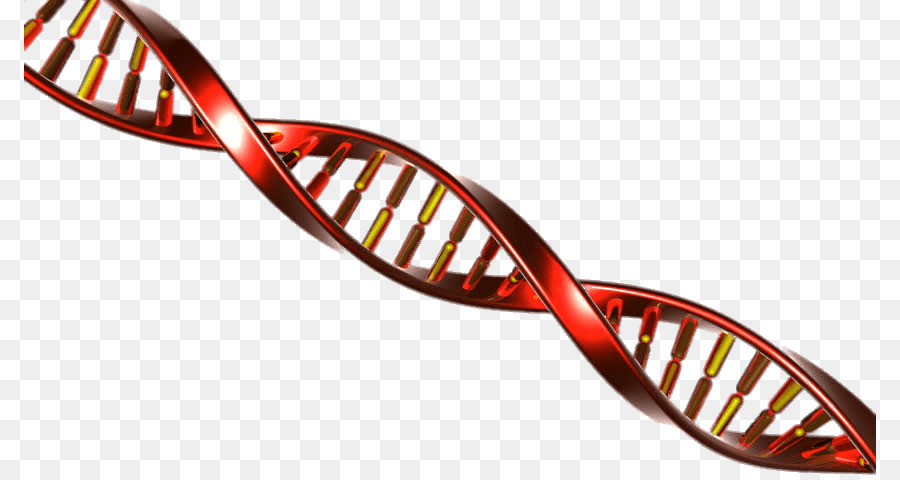 Heliks Dna，Genetika PNG