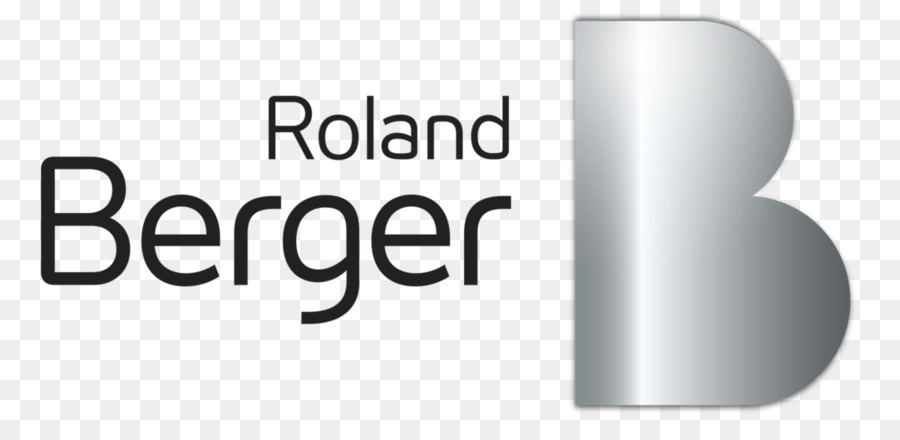 Roland Berger，Bisnis PNG