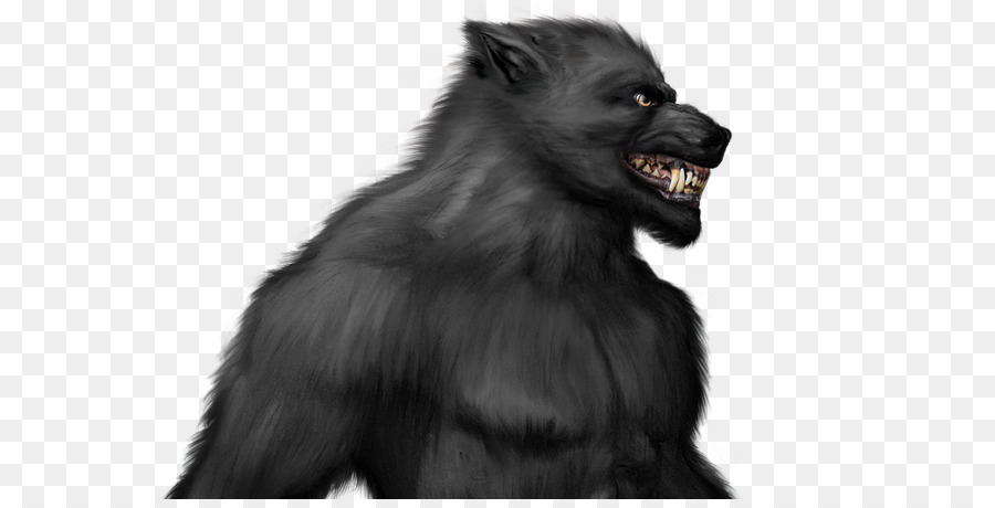 Werewolf，Gorila PNG