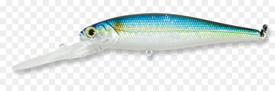 Ikan，Shad Amerika PNG