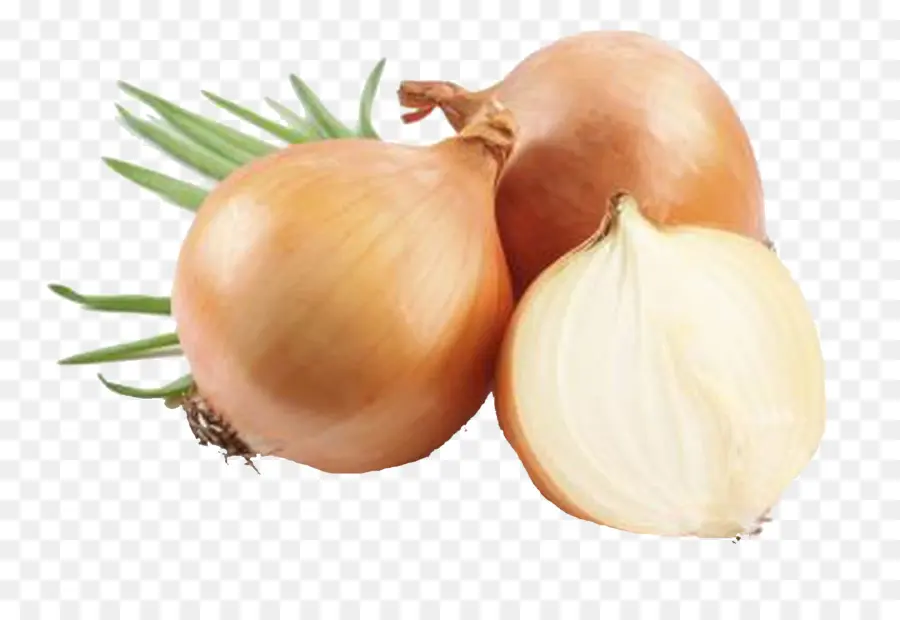 Bawang，Bawang Kuning PNG