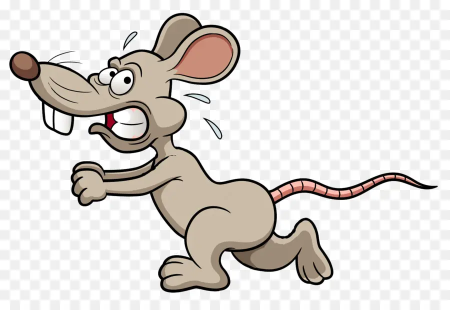 Mouse，Kartun PNG