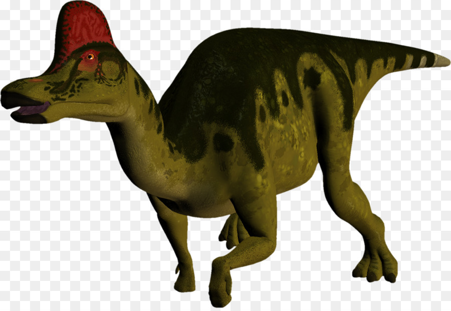 Dinosaurus Hijau，Prasejarah PNG