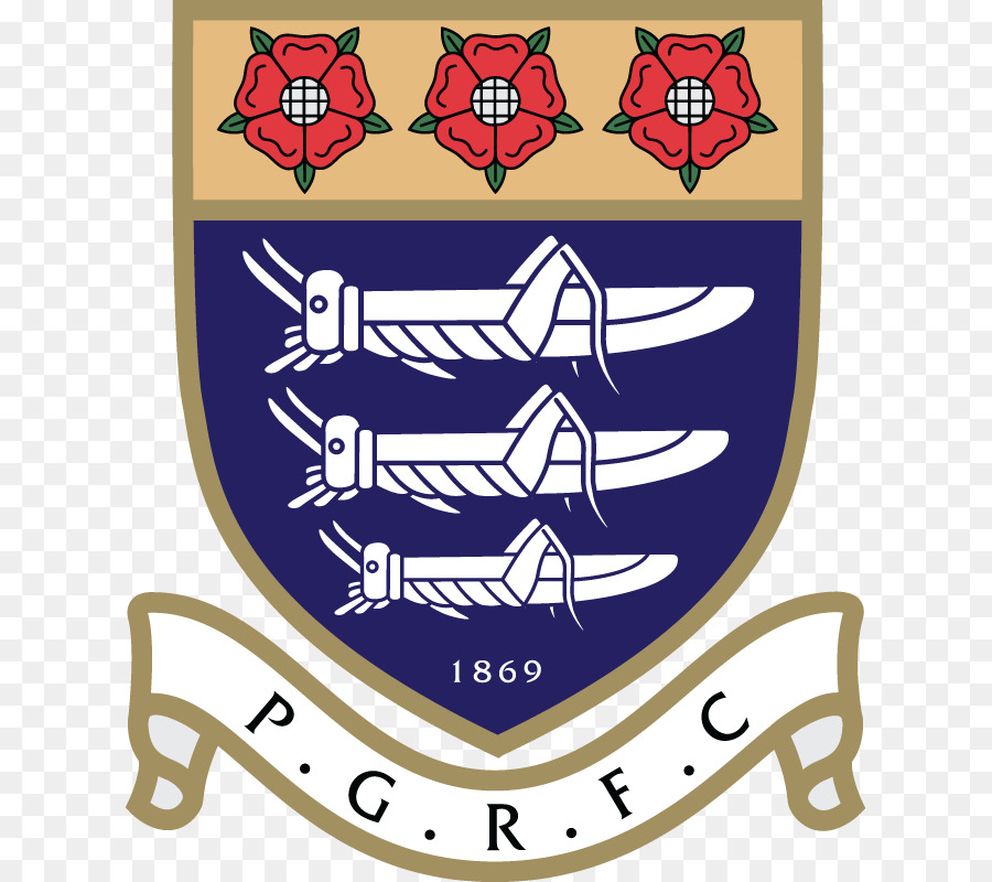 Logo Pgrfc，Puncak PNG