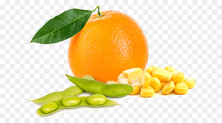 Orange，Buah PNG