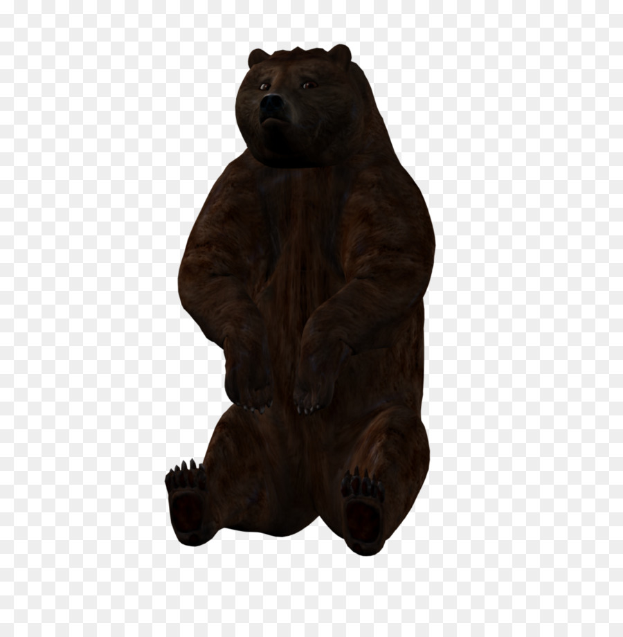 Beruang Grizzly，Beruang PNG