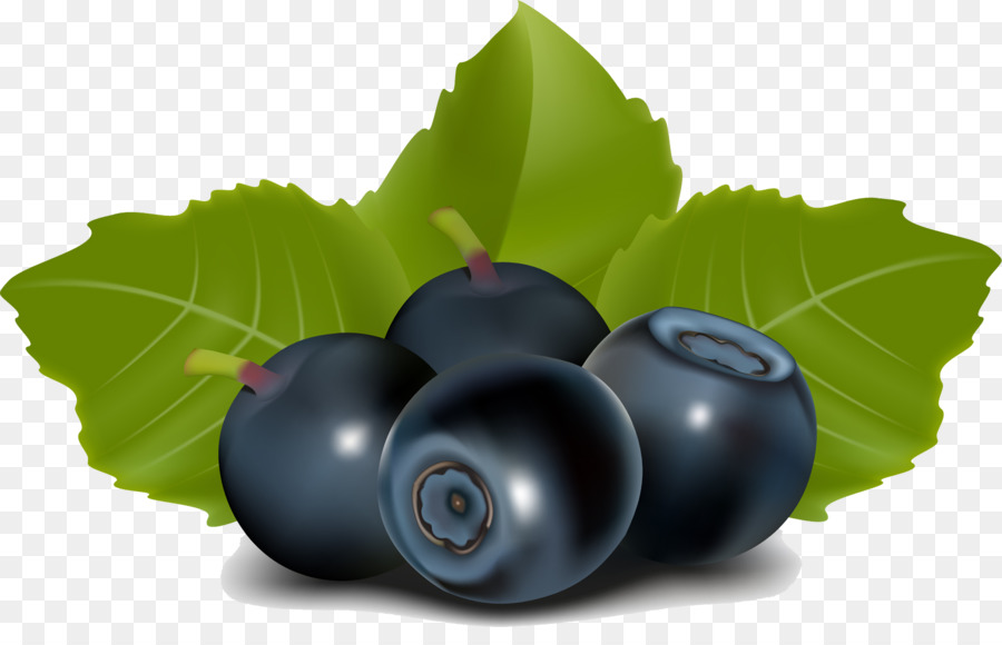 Blueberry，Buah Beri PNG