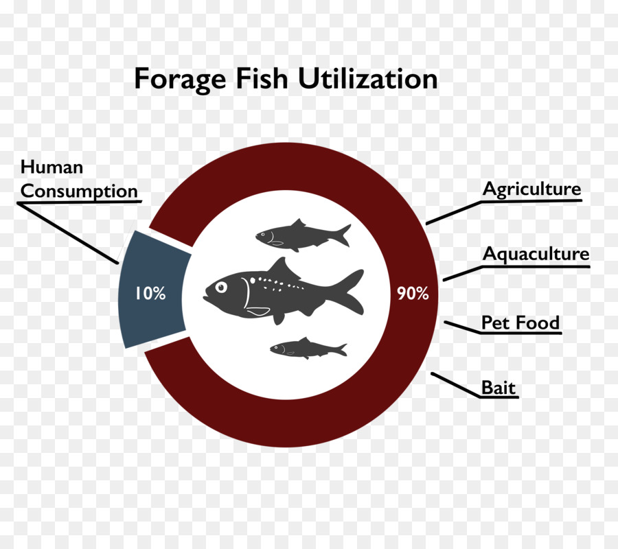 Pakan Ikan，Ikan PNG