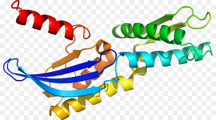 Heliks Protein，Molekul PNG