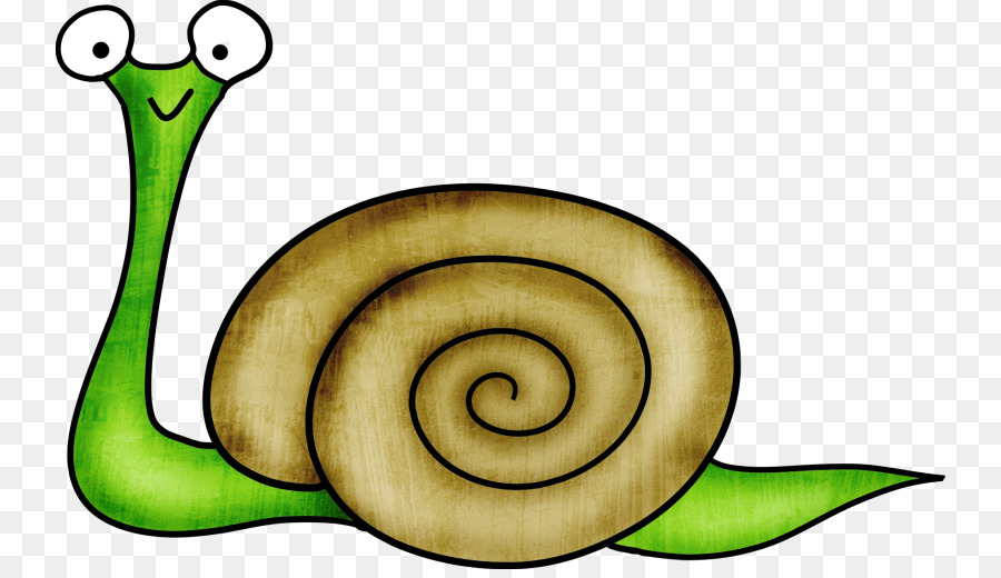 Siput，Moluska PNG