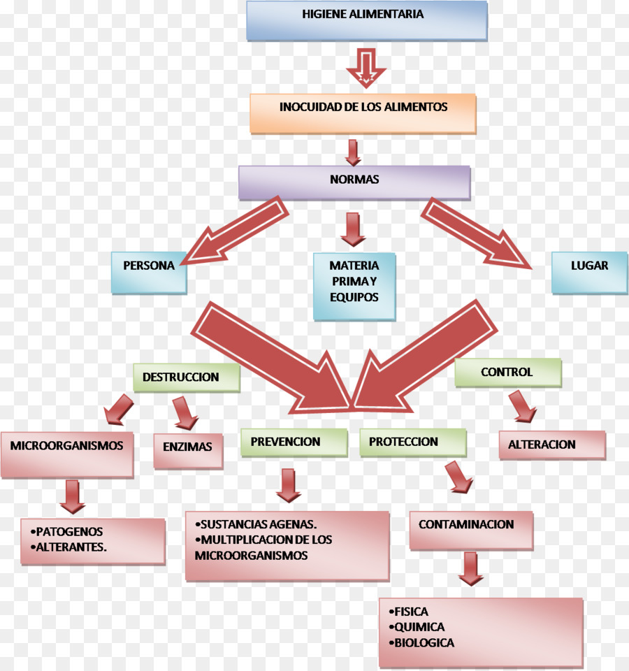 Diagram Keamanan Pangan，Kebersihan Makanan PNG