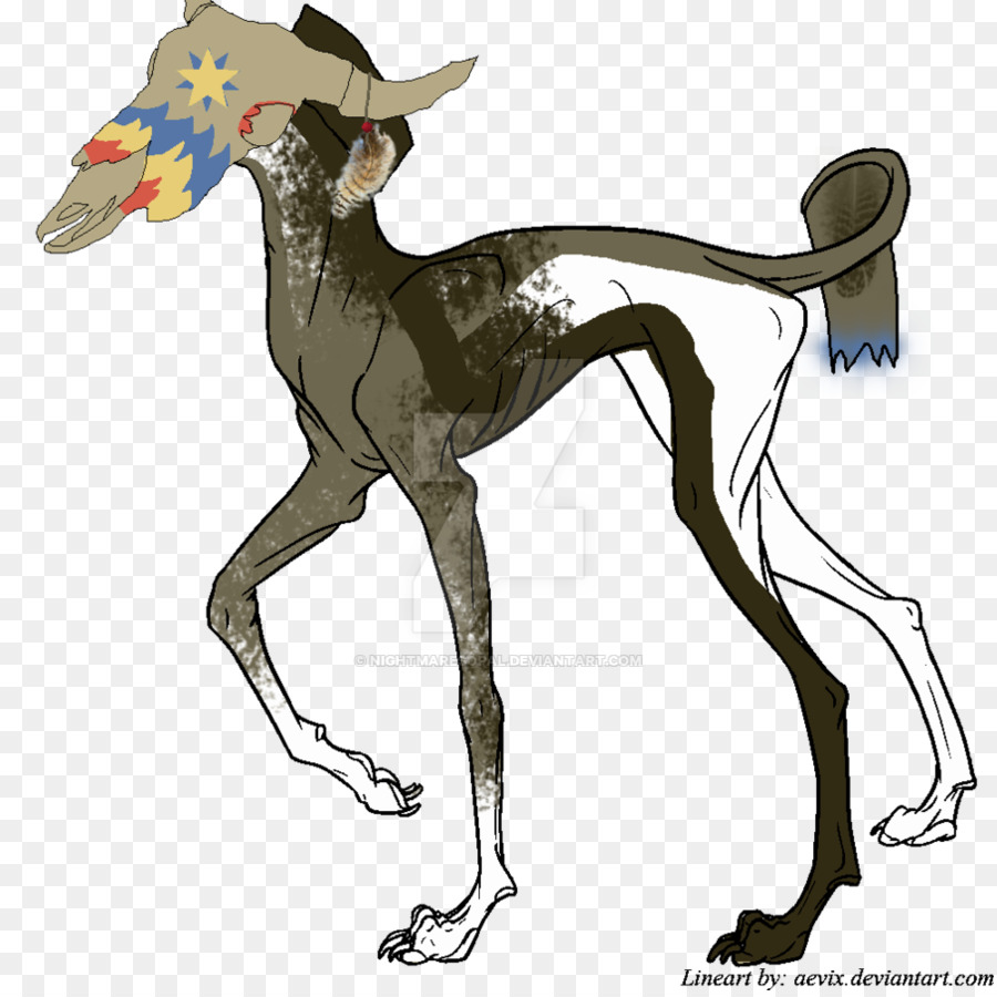 Greyhound Italia，Spanyol Greyhound PNG