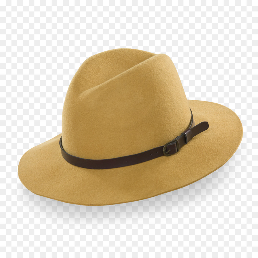 Topi Fedora，Cokelat PNG