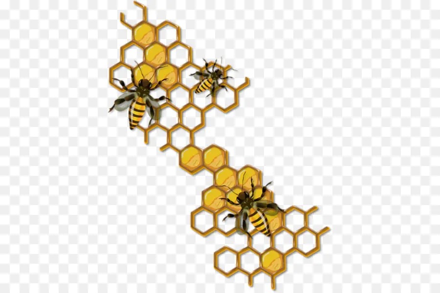 Lebah，Gambar PNG