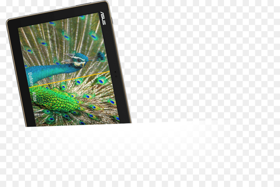 Asus Zenpad 10 Z300m，Asus Zenpad 10 Z301m PNG