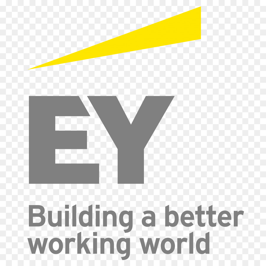 Ernst Young，Bisnis PNG