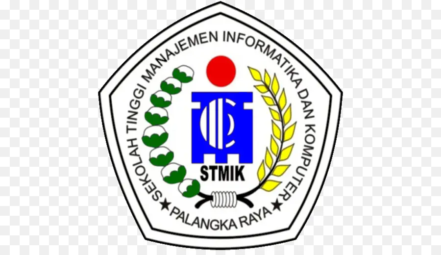 Stmik Palangkaraya，Organisasi PNG