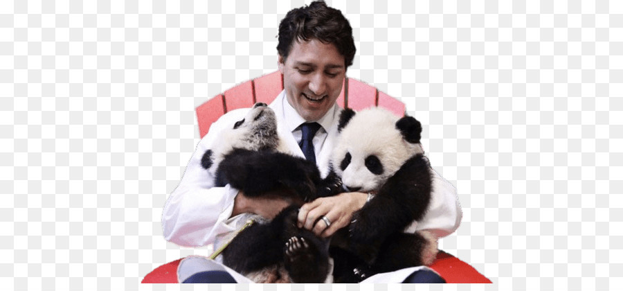 Kebun Binatang Toronto，Justin Trudeau PNG